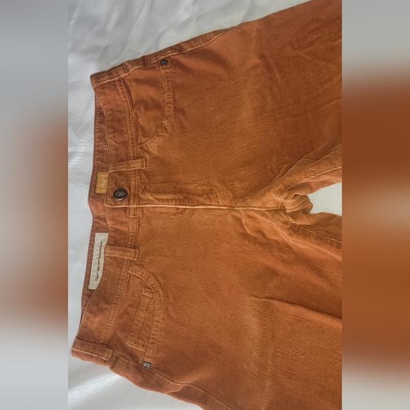 Pilcro and the letterpress corduroy skinny jeans / pants - Picture 15 of 16